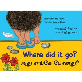 Where Did It Go?/Adhu Yenge Ponathu? (English-Tamil)