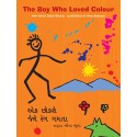 The Boy Who Loved Colour/Ek Chokro Jene Rang Gamta (English-Gujarati)