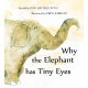 Why the Elephant Has Tiny Eyes (English)