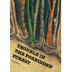 Trouble in the forbidden forest (English)